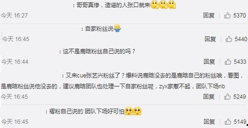 央视爆料粉条视频在线观看,粉条制作全过程,在线观看惊心动魄一幕 第2张 央视爆料粉条视频在线观看,粉条制作全过程,在线观看惊心动魄一幕 第2张